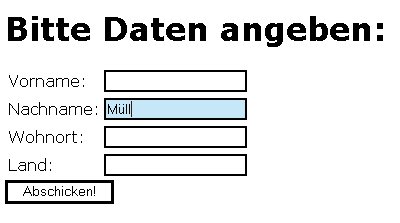 Beispiel f�r ein Hover-Formularfeld